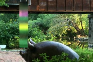 Read more about the article Museum, artist wading into inspiring waters