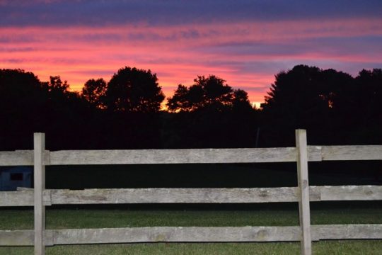 You are currently viewing Sunset creates its own festive fireworks