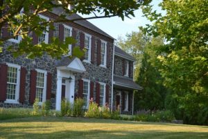 Read more about the article What’s the buzz in Kennett? Good question
