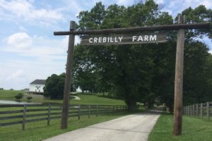 Read more about the article Pending sale of Crebilly Farm sparks outcry