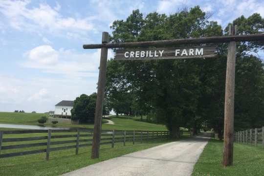You are currently viewing Toll Brothers making plans for Crebilly Farm