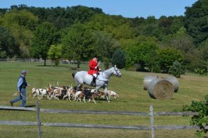 Read more about the article Possibly final Founders Day a crowd-pleaser