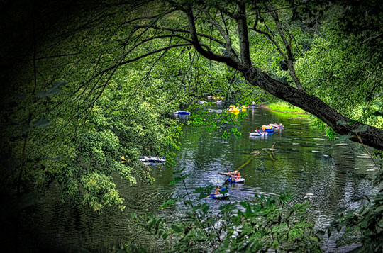 You are currently viewing Photo of the Week: Floating into Fall