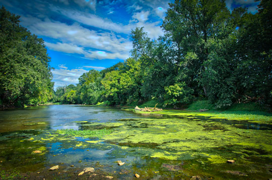 You are currently viewing Photo of the Week: Summer’s Ebb