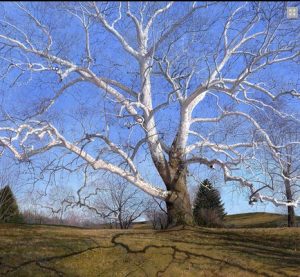Skin and Bones by Timothy Barr