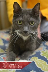 Benny