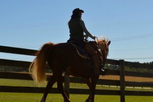 Read more about the article Crebilly Farm dominates Westtown meeting