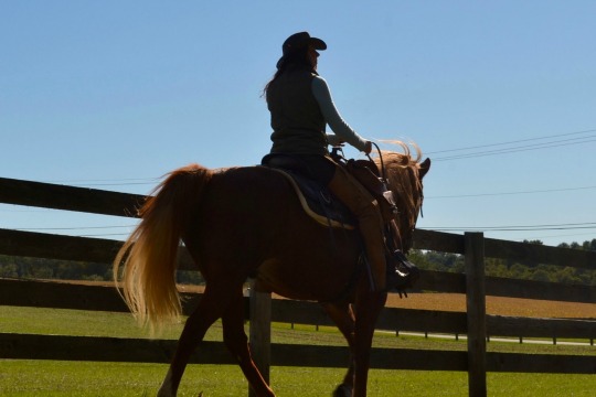 You are currently viewing Crebilly Farm dominates Westtown meeting