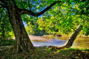 Read more about the article Photo of the Week: Gentle Morning