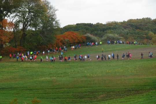 You are currently viewing Chase for Open Space: exercise in preservation