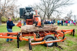 Read more about the article Dead tree to live on at CFES