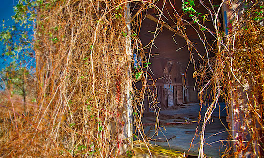 You are currently viewing Photo of the Week: Neglect