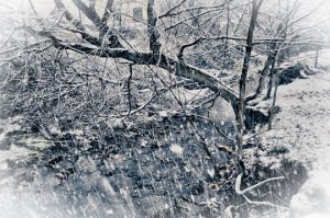 Read more about the article Photo of the Week: March Madness