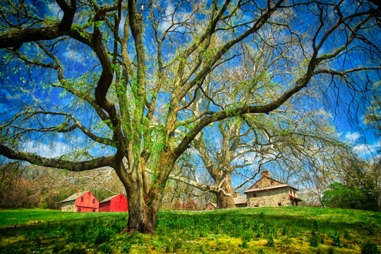 You are currently viewing Photo of the Week: Spring Bloom