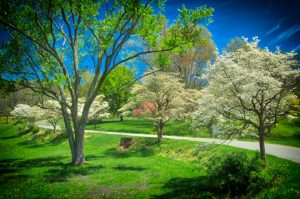 Read more about the article Photo of the Week: After the Storm