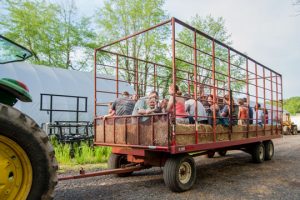 Read more about the article Groups save Beaver Valley