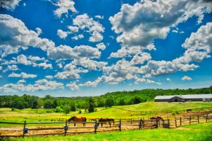 Read more about the article Photo of the Week: Big Sky Pennsbury