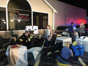 Read more about the article Car crash causes fire at SPCA