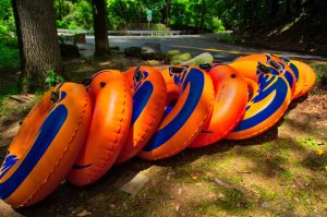 Read more about the article Photo of the Week: Rings of Fun