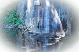 Read more about the article Photo of the week: Gone