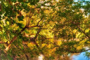 Read more about the article Photo of the Week: Quiet Lunch