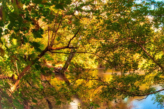 You are currently viewing Photo of the Week: Quiet Lunch