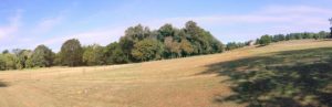 Read more about the article Sunset Farm forever protected from development