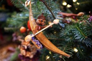 Read more about the article Critter time at BRM