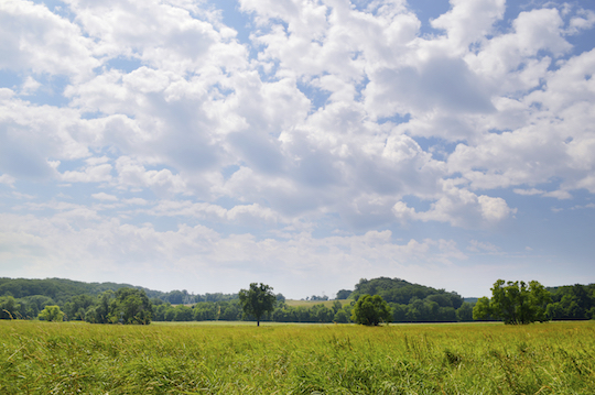You are currently viewing Natural Lands adds acres to ChesLen