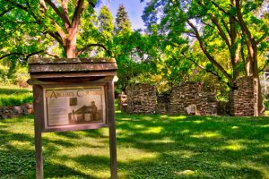 Read more about the article Photo of the Week: Archie’s Corner
