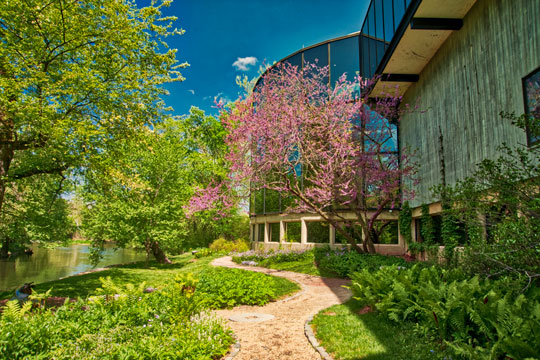 You are currently viewing Photo of the Week: Spring Stroll