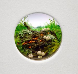 Read more about the article Mixed Media: The art of conservation