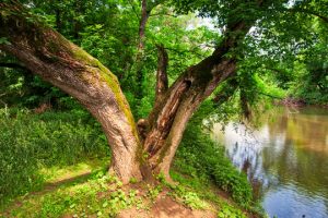 Read more about the article Photo of the week: A Rare Day