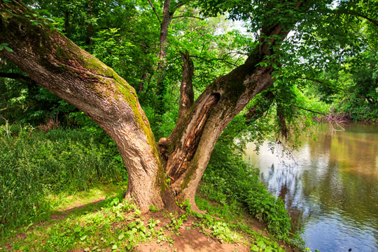 You are currently viewing Photo of the week: A Rare Day