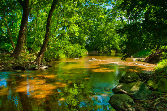 You are currently viewing Photo of the Week: Nature’s Invitation