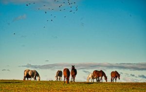 Read more about the article Photo of the Week: Air Cover