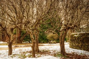 Read more about the article Photo of the Week: Lookin’ Chilly