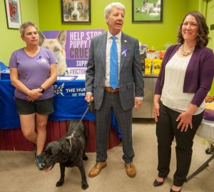 Read more about the article Killion bill takes aim at puppy mills