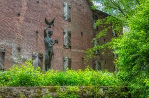 Read more about the article Photo of the Week: Hawk Boy in Spring