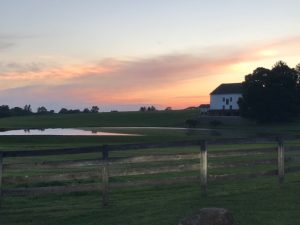 Read more about the article Crebilly Farm puts tax breaks in spotlight