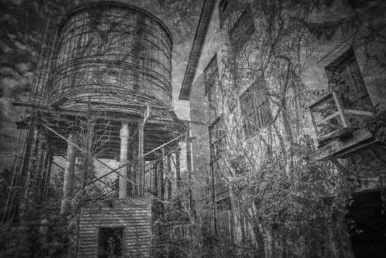 You are currently viewing Photo of the Week: Abandoned