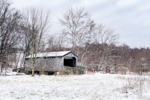 Read more about the article Fundraiser helps conservancy