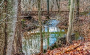 Read more about the article Photo of the Week: After the Deluge