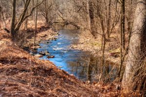 Read more about the article Photo of the Week: Red Clay Blue