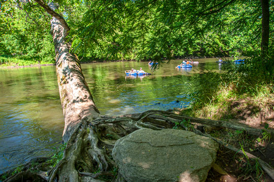 You are currently viewing Photo of the Week: Gentle Drift