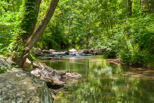 You are currently viewing Photo of the Week: Summer Afternoon