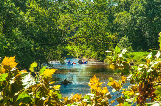 You are currently viewing Photo of the Week: Beating the Heat