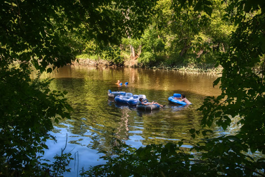 You are currently viewing Photo of the Week: Keeping Cool