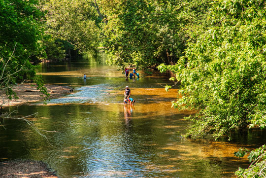 You are currently viewing Photo of the Week: Family Time