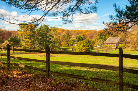 You are currently viewing Photo of the Week: Autumn Trim